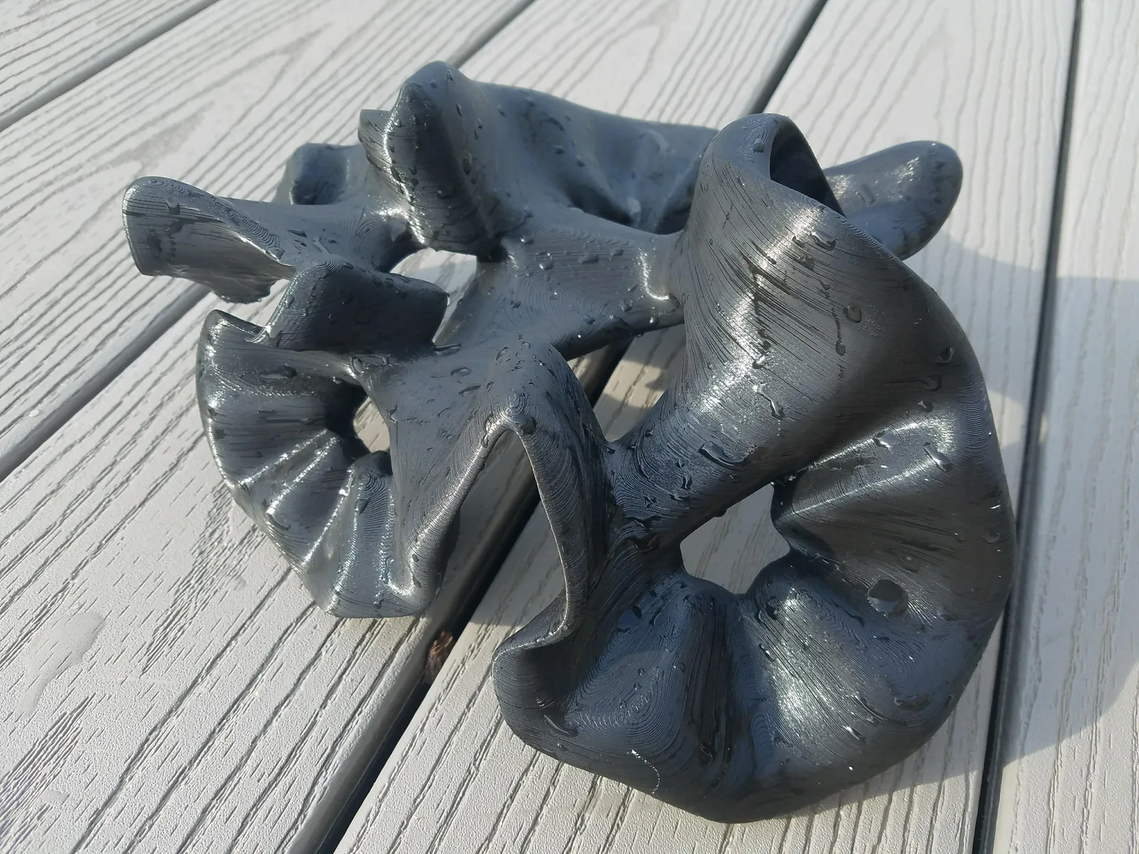Coral Form Study: Mushroom Coral, image 6